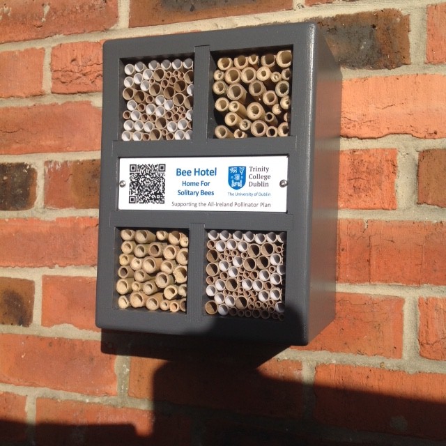 bee hotel.jpg