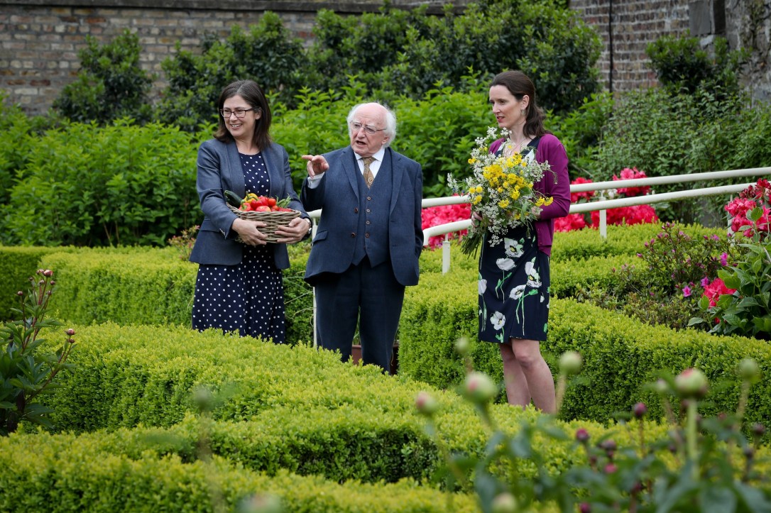 Michael D 19.05.19