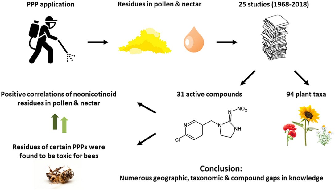 Elena graphical abstract