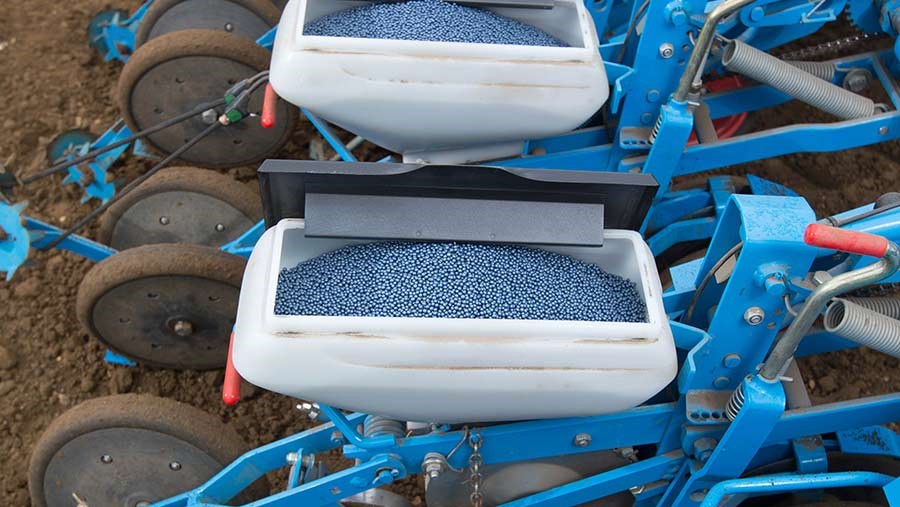 elena sugar beet article